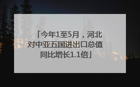 今年1至5月,河北对中亚五国进出口总值同比增长1.1倍