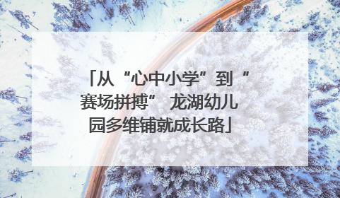 从“心中小学”到“赛场拼搏” 龙湖幼儿园多维铺就成长路