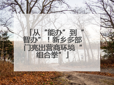 从“能办”到“智办”！新乡多部门亮出营商环境“组合拳”