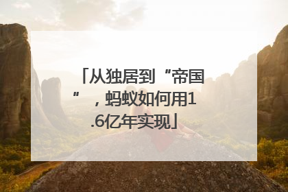 从独居到“帝国”，蚂蚁如何用1.6亿年实现