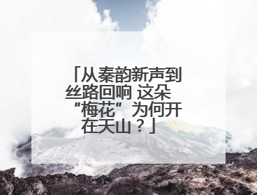 从秦韵新声到丝路回响 这朵“梅花”为何开在天山？