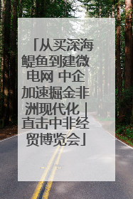 从买深海鳀鱼到建微电网 中企加速掘金非洲现代化｜直击中非经贸博览会