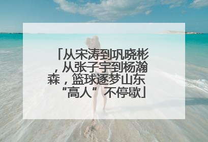 从宋涛到巩晓彬，从张子宇到杨瀚森，篮球逐梦山东“高人”不停歇