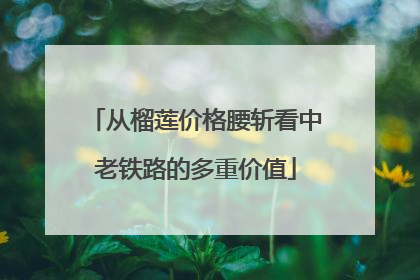 从榴莲价格腰斩看中老铁路的多重价值