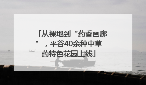 从裸地到“药香画廊”，平谷40余种中草药特色花园上线