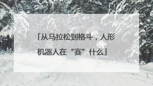 从马拉松到格斗，人形机器人在“赛”什么