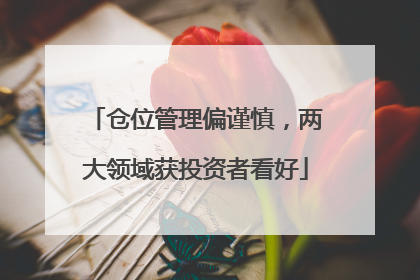 仓位管理偏谨慎，两大领域获投资者看好