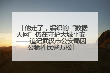 他走了，编织的“数据天网”仍在守护大城平安——追记武汉市公安局因公牺牲民警万松