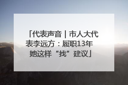 代表声音｜市人大代表李远方：履职13年 她这样“找”建议