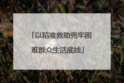 以精准救助兜牢困难群众生活底线