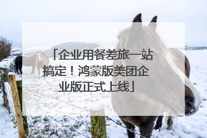 企业用餐差旅一站搞定！鸿蒙版美团企业版正式上线