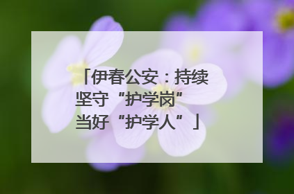 伊春公安：持续坚守“护学岗” 当好“护学人”