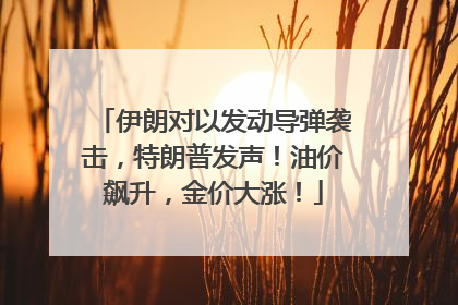 伊朗对以发动导弹袭击，特朗普发声！油价飙升，金价大涨！