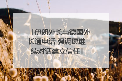 伊朗外长与德国外长通电话 强调愿继续对话建立信任