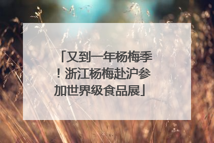 又到一年杨梅季！浙江杨梅赴沪参加世界级食品展