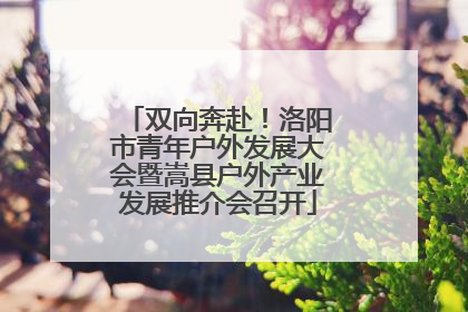 双向奔赴！洛阳市青年户外发展大会暨嵩县户外产业发展推介会召开