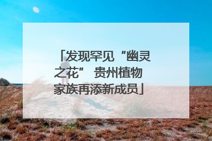 发现罕见“幽灵之花” 贵州植物家族再添新成员
