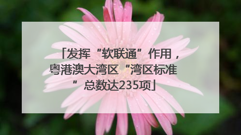 发挥“软联通”作用，粤港澳大湾区“湾区标准”总数达235项