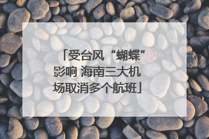受台风“蝴蝶”影响 海南三大机场取消多个航班