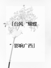 台风“蝴蝶”影响广西