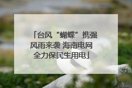 台风“蝴蝶”携强风雨来袭 海南电网全力保民生用电