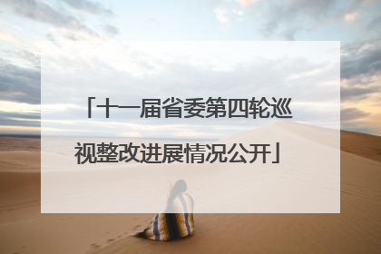 十一届省委第四轮巡视整改进展情况公开