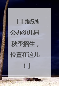 十堰5所公办幼儿园秋季招生，位置在这儿！