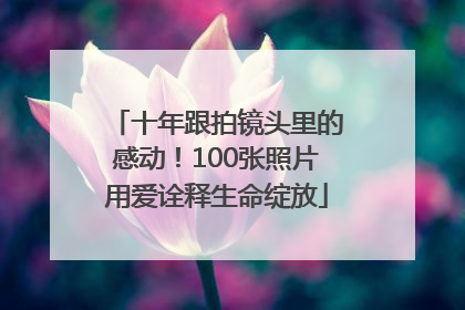 十年跟拍镜头里的感动！100张照片用爱诠释生命绽放