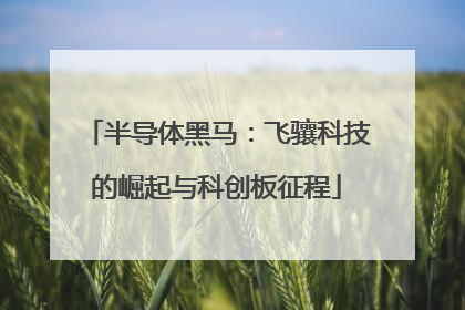 半导体黑马：飞骧科技的崛起与科创板征程