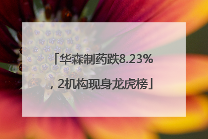 华森制药跌8.23%，2机构现身龙虎榜