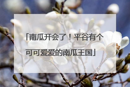 南瓜开会了！平谷有个可可爱爱的南瓜王国