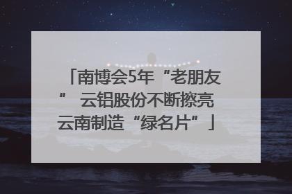 南博会5年“老朋友” 云铝股份不断擦亮云南制造“绿名片”