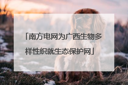 南方电网为广西生物多样性织就生态保护网