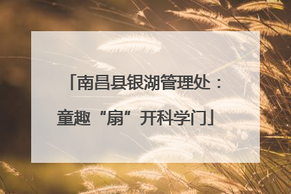 南昌县银湖管理处：童趣“扇”开科学门