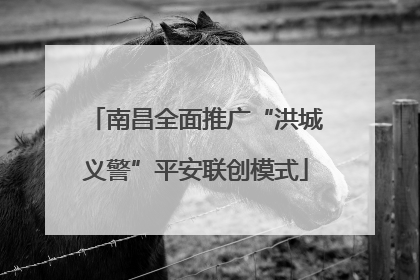 南昌全面推广“洪城义警”平安联创模式