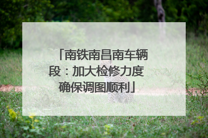 南铁南昌南车辆段：加大检修力度确保调图顺利