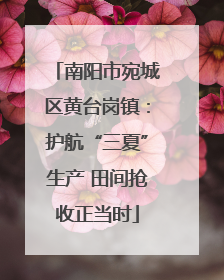 南阳市宛城区黄台岗镇：护航“三夏”生产 田间抢收正当时