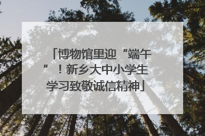 博物馆里迎“端午”！新乡大中小学生学习致敬诚信精神