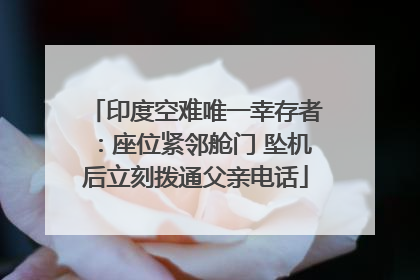 印度空难唯一幸存者：座位紧邻舱门 坠机后立刻拨通父亲电话