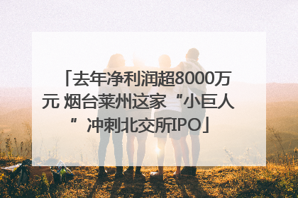 去年净利润超8000万元 烟台莱州这家“小巨人”冲刺北交所IPO