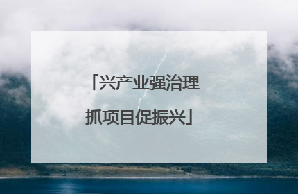 兴产业强治理 抓项目促振兴