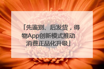 先鉴别、后发货，得物App创新模式推动消费正品化升级