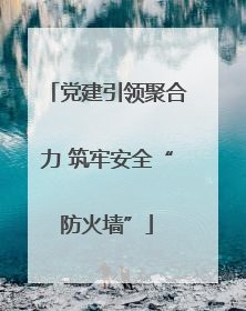 党建引领聚合力 筑牢安全“防火墙”