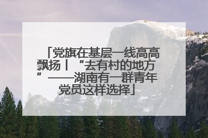 党旗在基层一线高高飘扬丨“去有村的地方”——湖南有一群青年党员这样选择