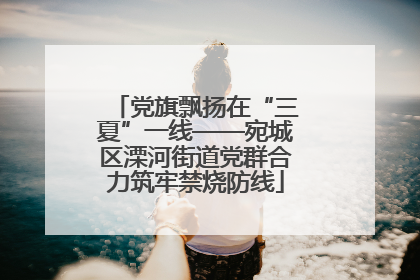 党旗飘扬在“三夏”一线——宛城区溧河街道党群合力筑牢禁烧防线