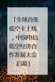 全球首张低空卡上线，中国电信低空经济合作发展大会启幕