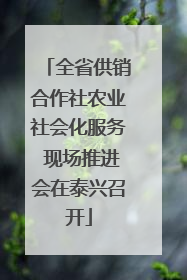 全省供销合作社农业社会化服务 现场推进会在泰兴召开