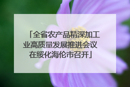 全省农产品精深加工业高质量发展推进会议在绥化海伦市召开