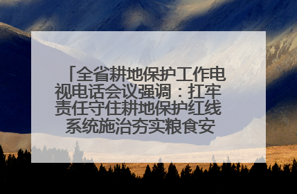 全省耕地保护工作电视电话会议强调：扛牢责任守住耕地保护红线 系统施治夯实粮食安全根基 王宁作出批示 王予波出席并讲话