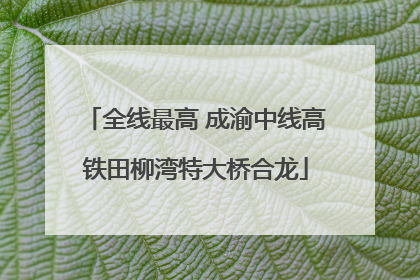 全线最高 成渝中线高铁田柳湾特大桥合龙